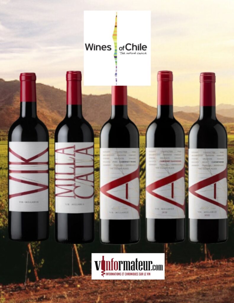 Vins de la maison Vik