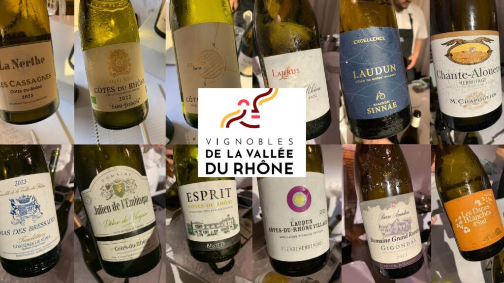 Coups de coeur parmi les vins blancs de la Vallée du Rhône