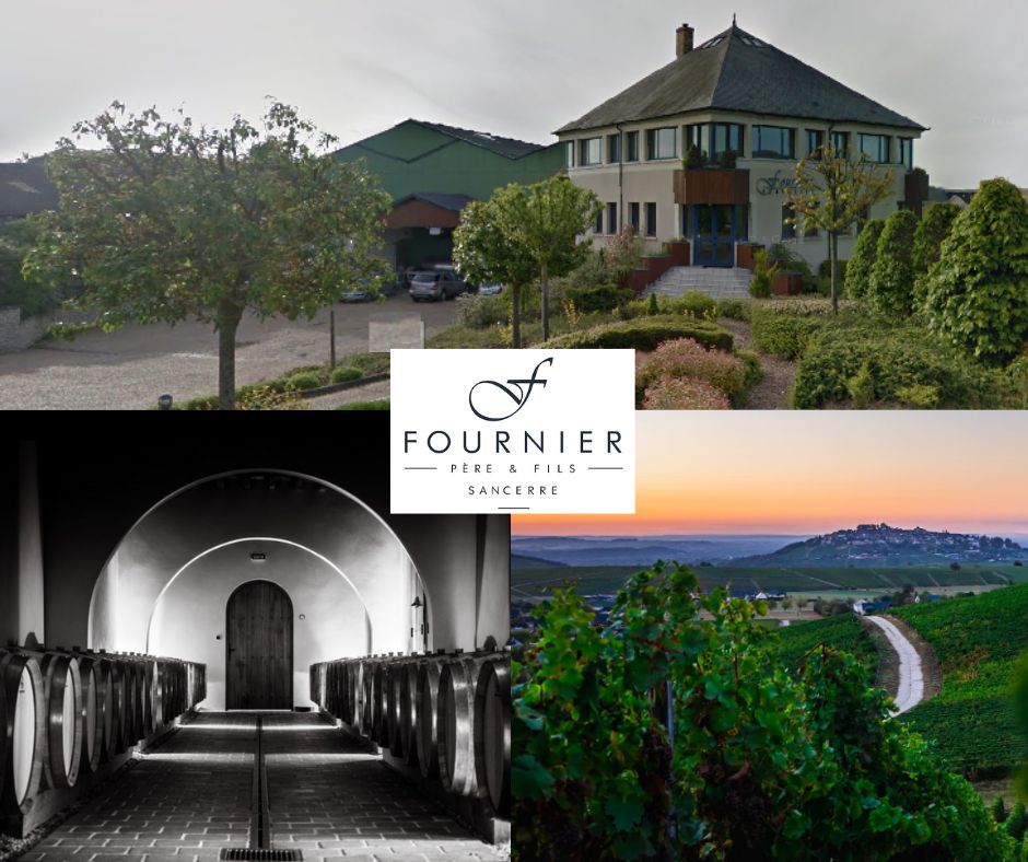 Fournier Père et Fils: chai et vignobles
