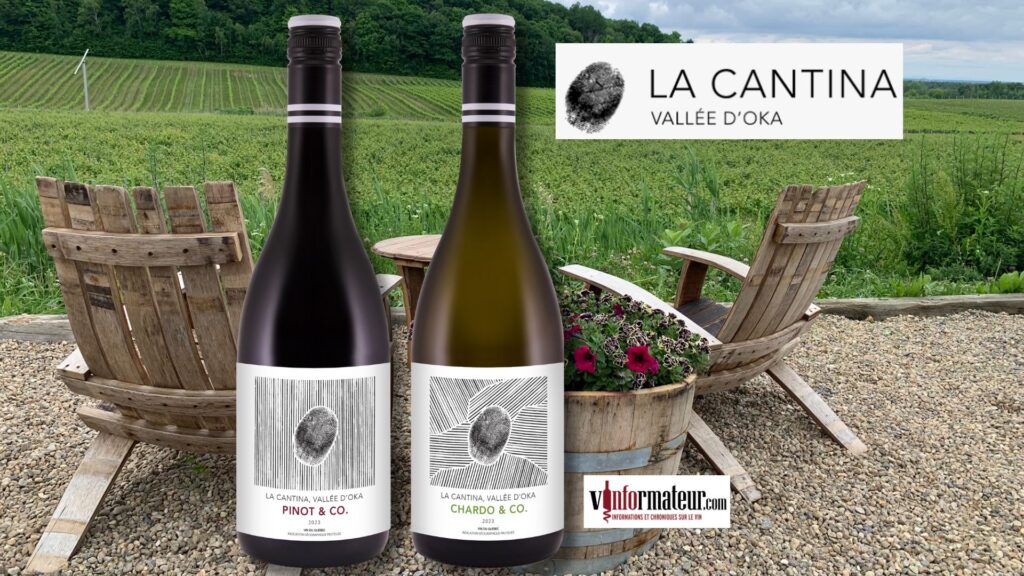 Harmonie, une toute nouvelle gamme de vins du Domaine La Cantina. Des rapports qualité/prix inégalés au Québec. bouteilles