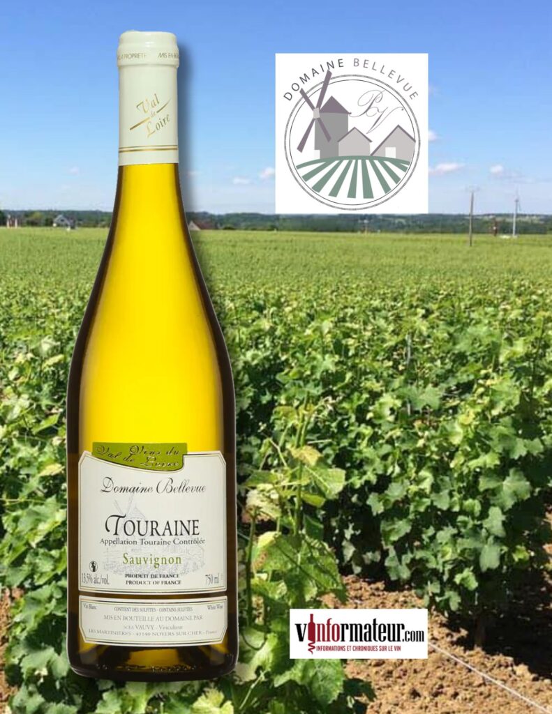 Domaine Bellevue, Sauvignon blanc, France, Touraine, vin blanc, 2023 bouteille