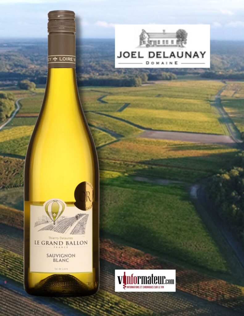 Le Grand Ballon, Sauvignon blanc, Val de Loire, Thierry Delaunay, vin blanc, 2023 bouteille