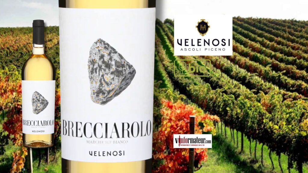 Croquant vous dites? Brecciarolo, Velenosi, blanc bio 2022.