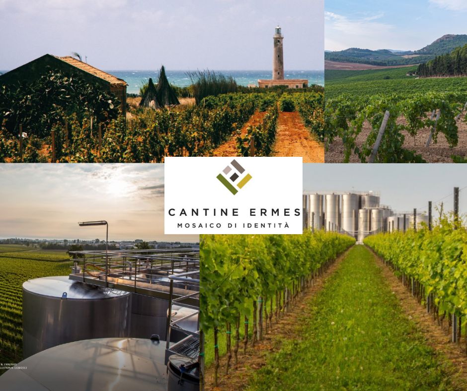Cantine Ermes: chai et vignobles