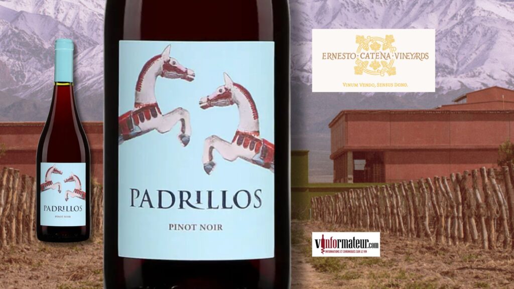 Pinot Noir, Padrillos, Argentine, Mendoza, vin rouge, 2020 bouteille