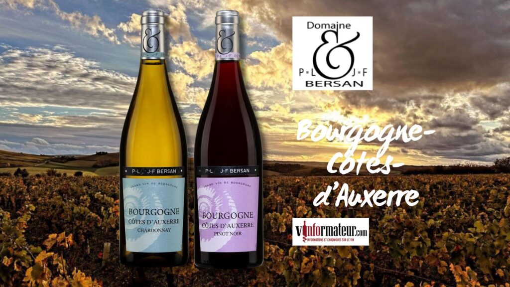 Chardonnay et Pinot Noir Bourgogne-Côtes-d'Auxerre, PL & JF Bersan bouteilles