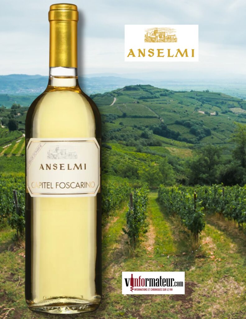 Anselmi, Capitel Foscarino, Italie, Vénétie IGT, 2022 bouteille