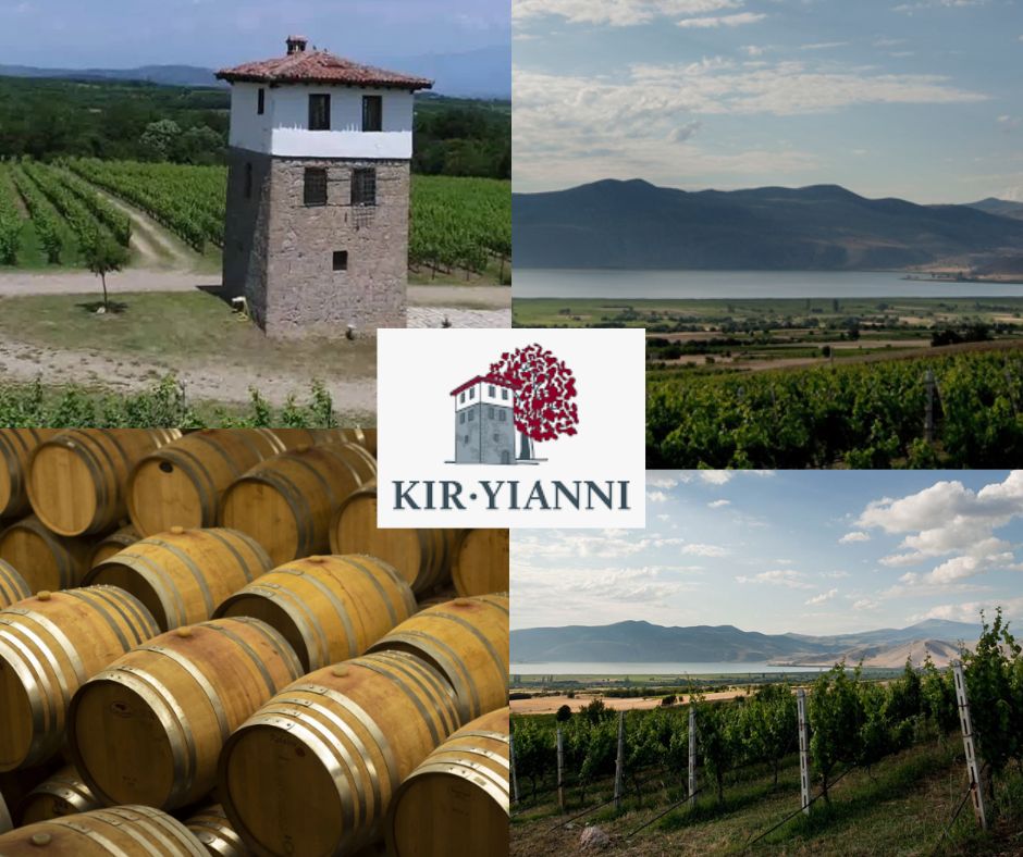 Kir Yianni: vignobles et chai