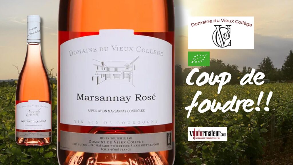 Coup de foudre que ce Marsannay vin rosé bio du Domaine du Vieux Collège.