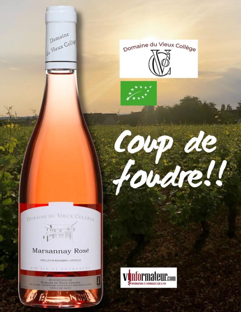 Marsannay rosé, Bourgogne, Côte de Nuit, vin rosé bio, 2022 bouteille