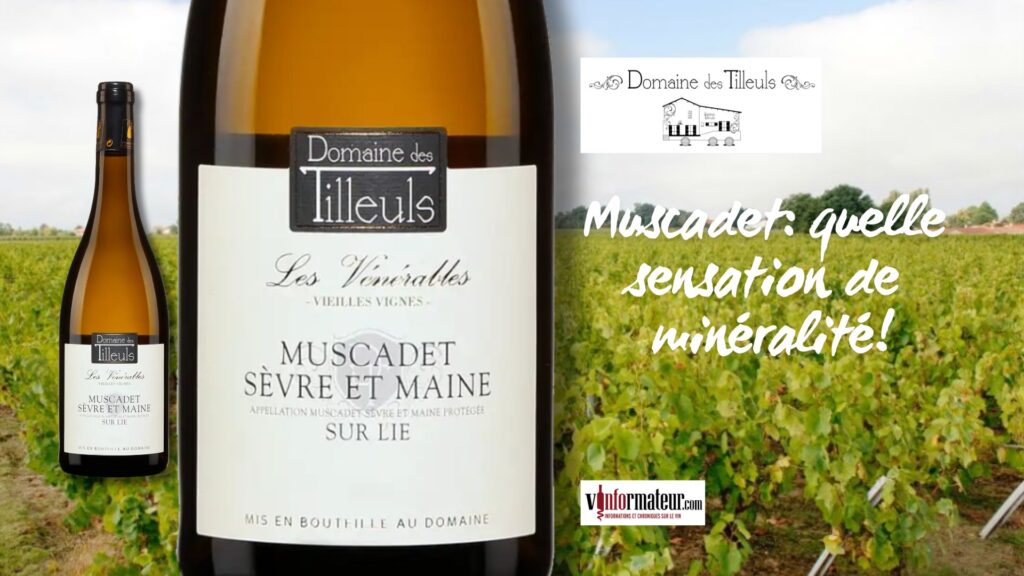 Un Muscadet Sèvre et Maine sur lies qui me fait vibrer! Domaines des Tilleuls, cuvée Les Vénérables.