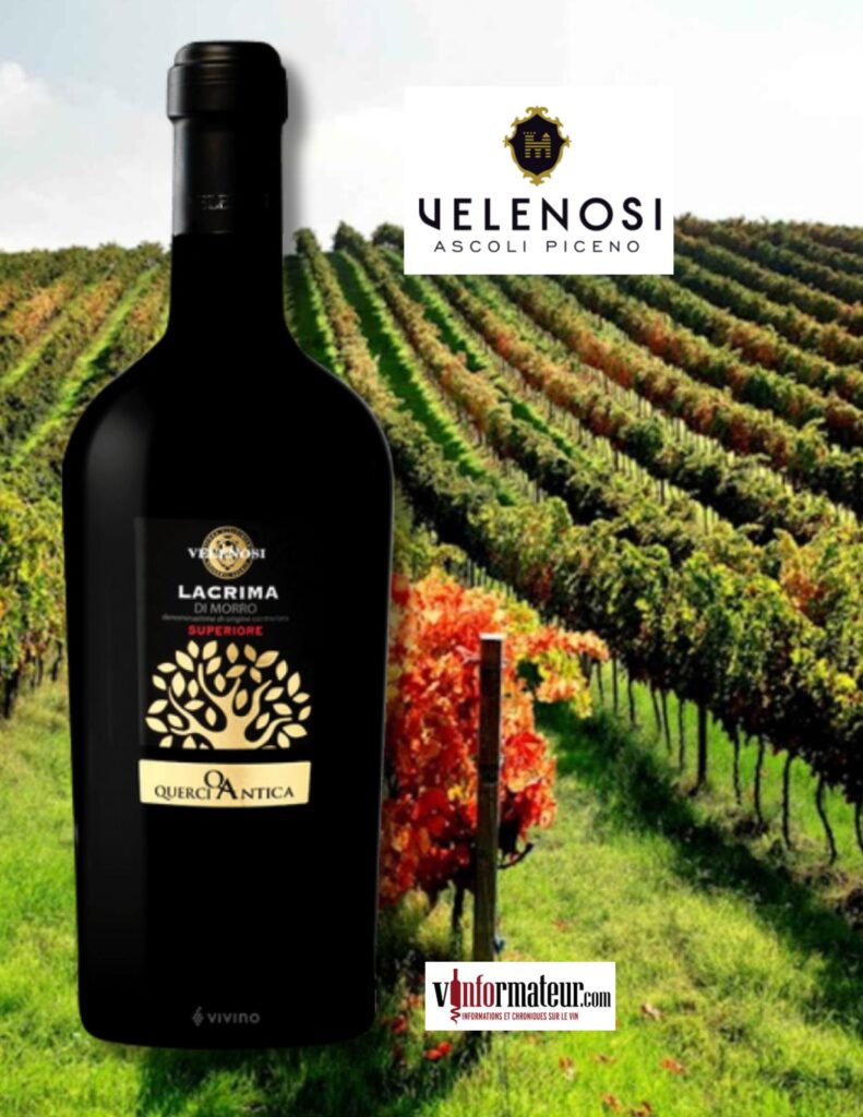Querciantica, Lacrima di Morro d’Alba DOC, Italie, Velenosi, vin rouge, 2021 bouteille