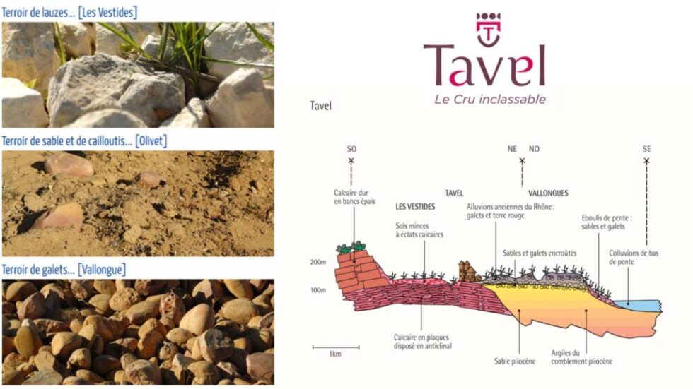 Terroir de Tavel