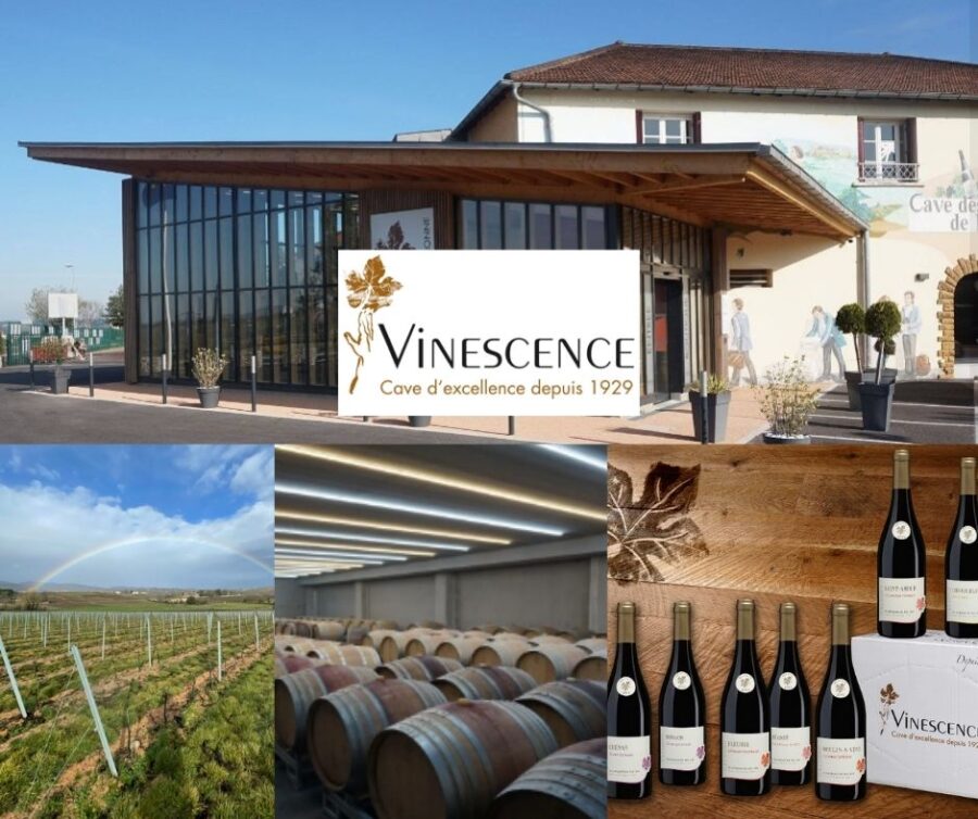 Vinescence: chai, vignobles et vins