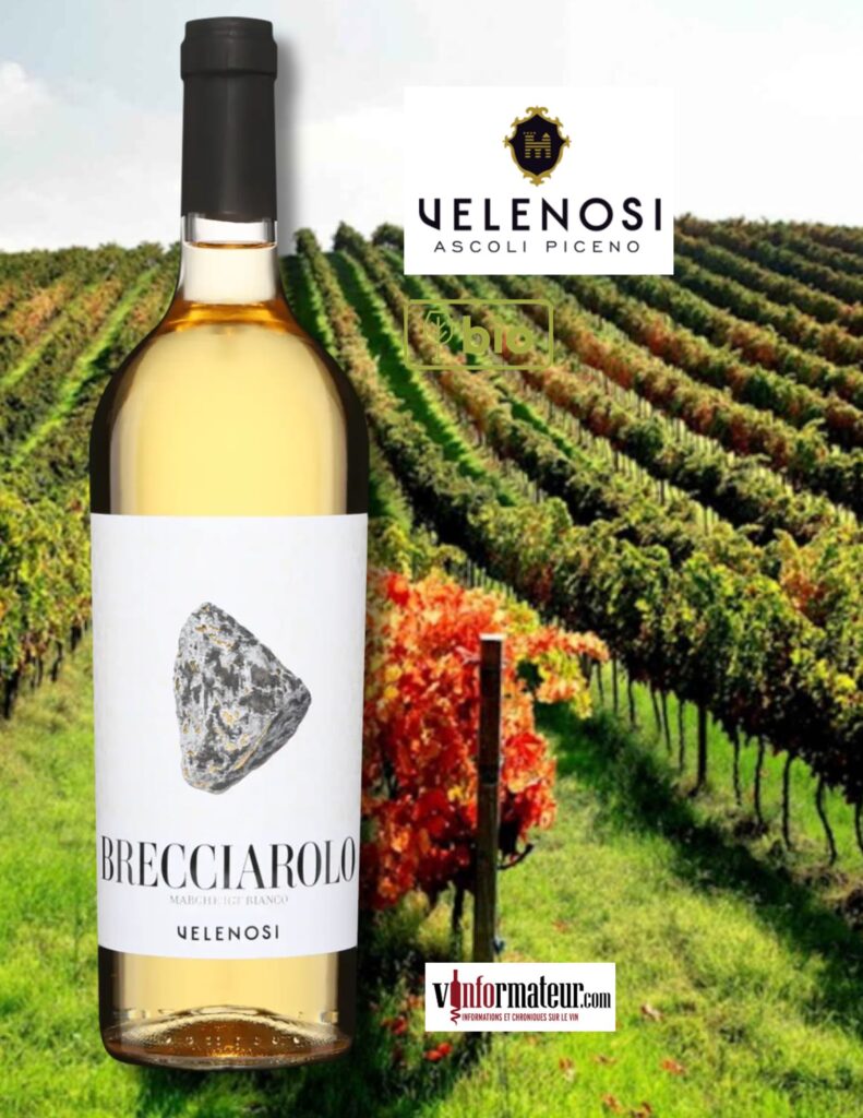 Brecciarolo, Velenosi, Italie, Marches, vin blanc bio, 2022 bouteille