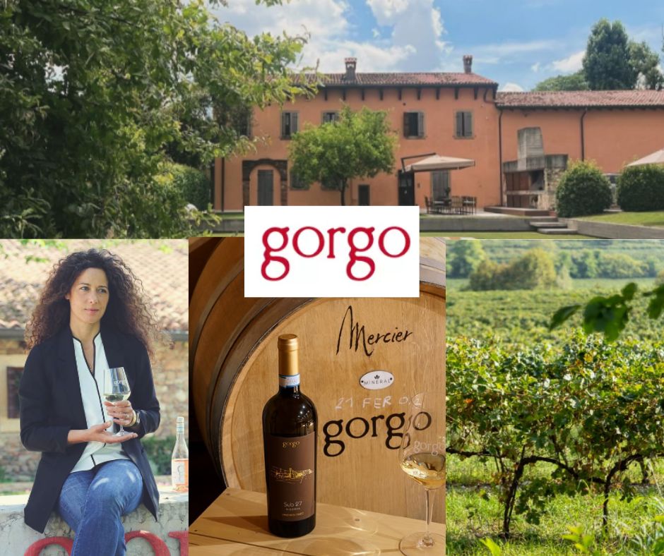 Cantina Gorgo: Roberta Bricolo, chai et vignobles
