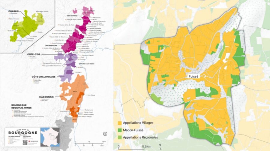 Carte viticole Bourgogne et Mâcon-Fuissé