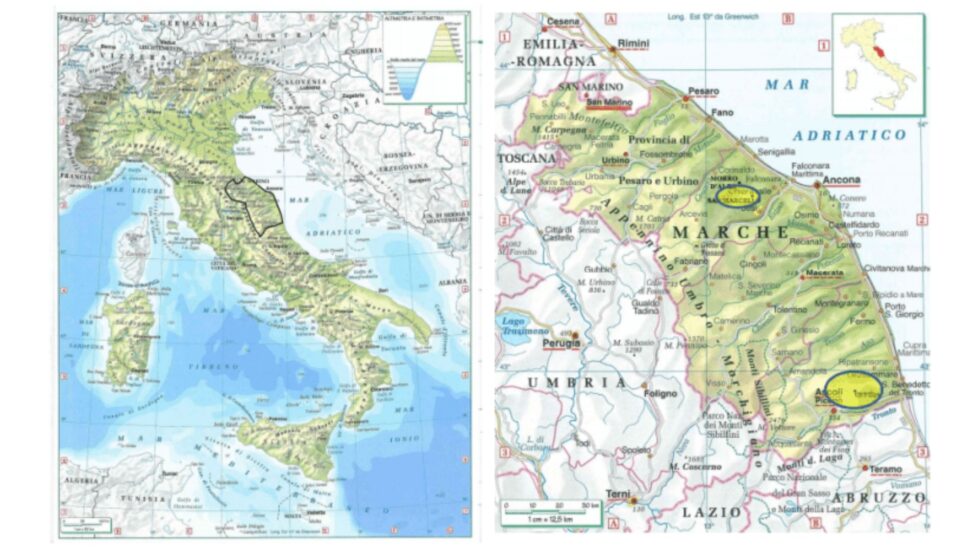 Carte viticole des Marche