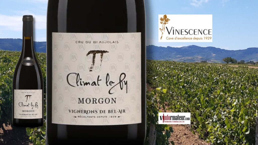 Climat le Py 2022 : L’Élégance du Morgon, Un Grand Cru du Beaujolais!