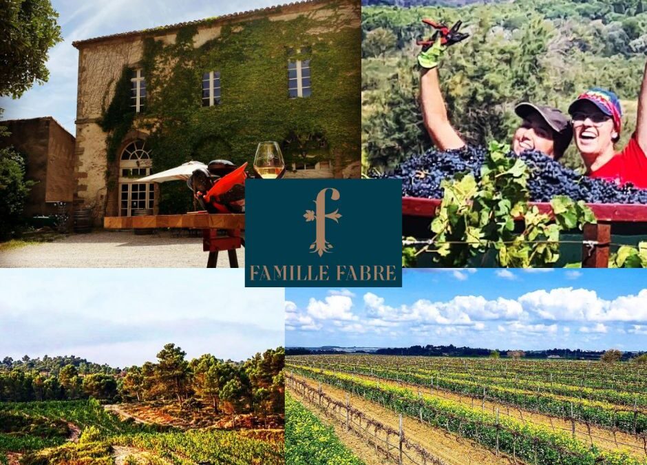Famille Fabre: chai et vignobles