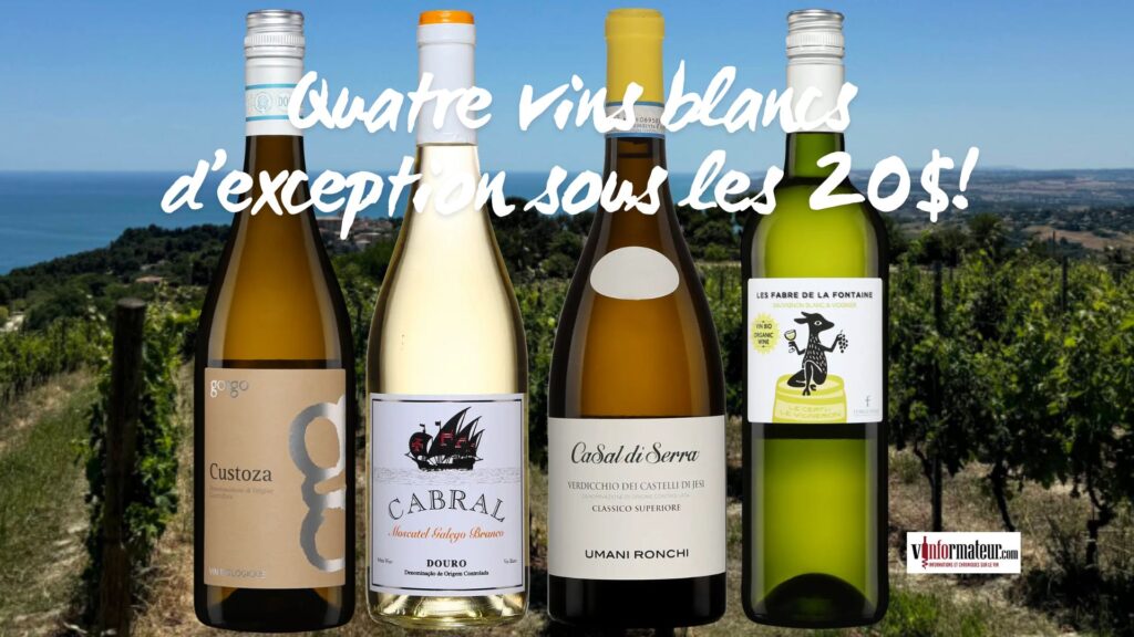 Quatre Vins Blancs d’Exception à Moins de 20$ : Dégustation et Accords Mets-Vins Incontournables.