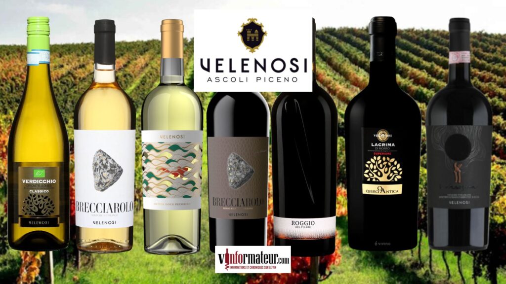 Vins de la maison Velenosi des Marche et des Abruzzes bouteilles