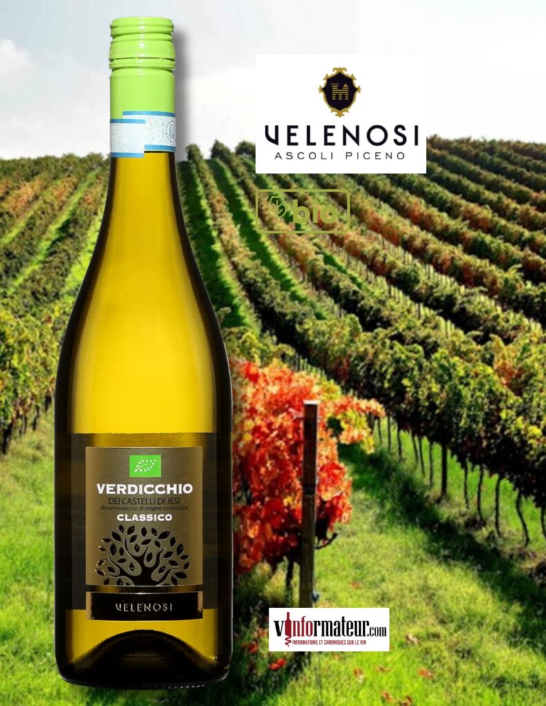 Verdicchio dei Castelli di Jesi, Classico, Querci’Antica, Italie, Les Marches, Velenosi, vin blanc bio, 2022 bouteille