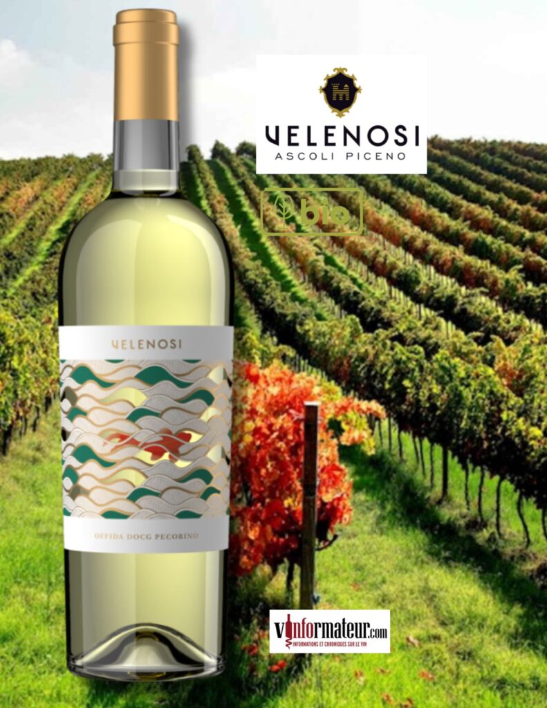 Villa Angela, Offida DOCG Pecorino, Italie, Velenosi, vin blanc, 2023 bouteille