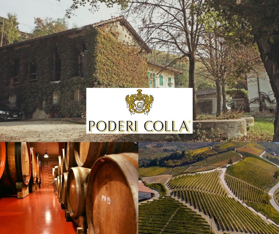 Poderi Colla: chai et vignobles