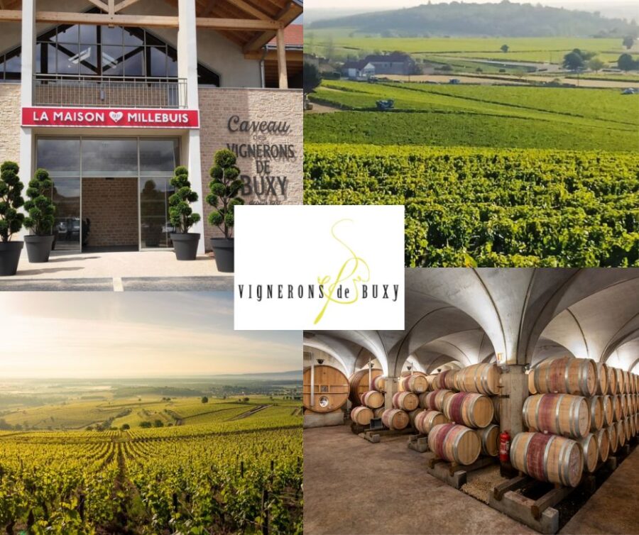 Millebuis/Vignerons de Buxy: chai et vignobles