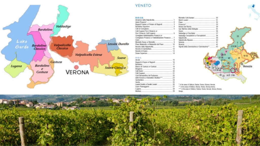 Carte viticole Vénétie