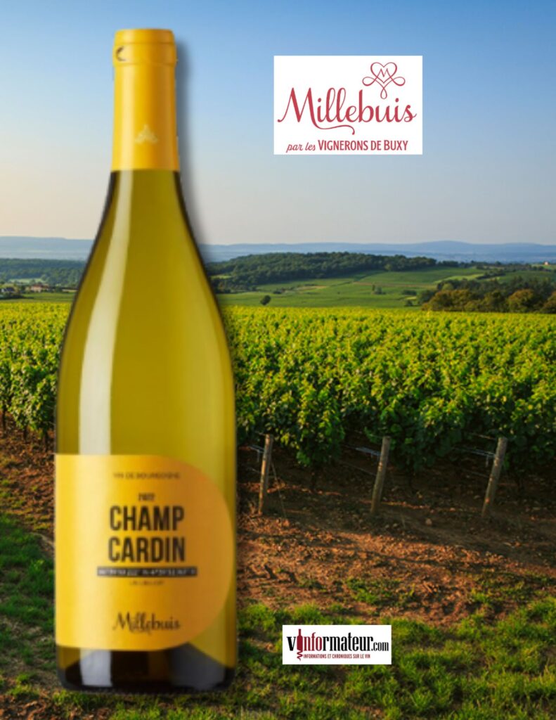 Millesbuis (Vignerons de Buxy), Champ Chardin, Chardonnay, Bourgogne Côte Chalonnaise, Lieu-dit Champ Chardin, vin blanc, 2022 bouteille