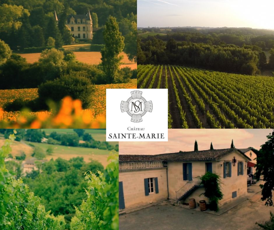 Château Sainte-Marie - chai et vignobles