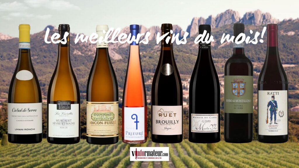 Les meilleurs vins du mois