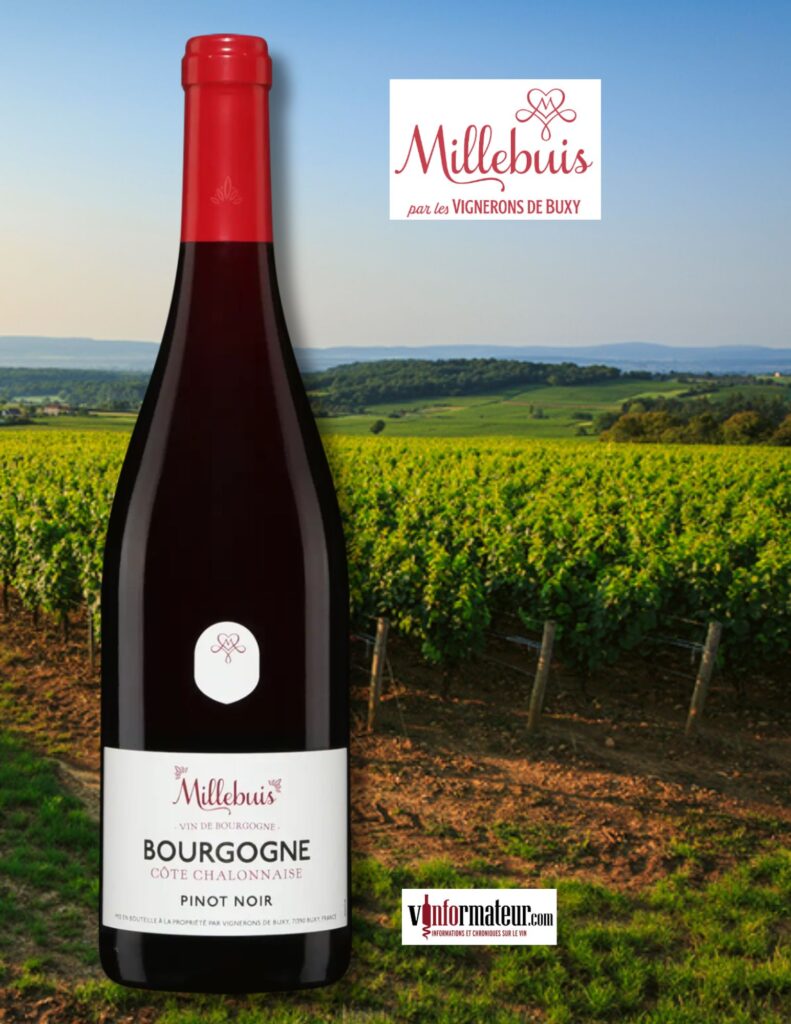 Millebuis (Vignerons de Buxy), Pinot Noir, Bourgogne Côte Chalonnaise, vin rouge, 2022 bouteille