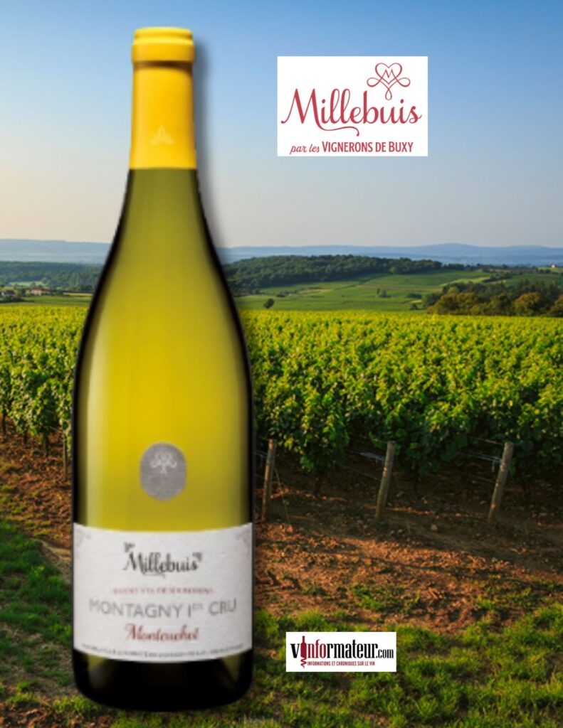Millesbuis (Vignerons de Buxy), Montagny 1er Cru, Montcuchot, vin blanc, 2022 bouteille