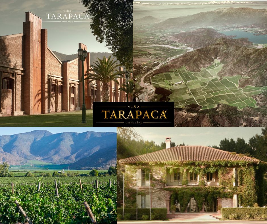 Vina Tarapaca: chai et vignobles