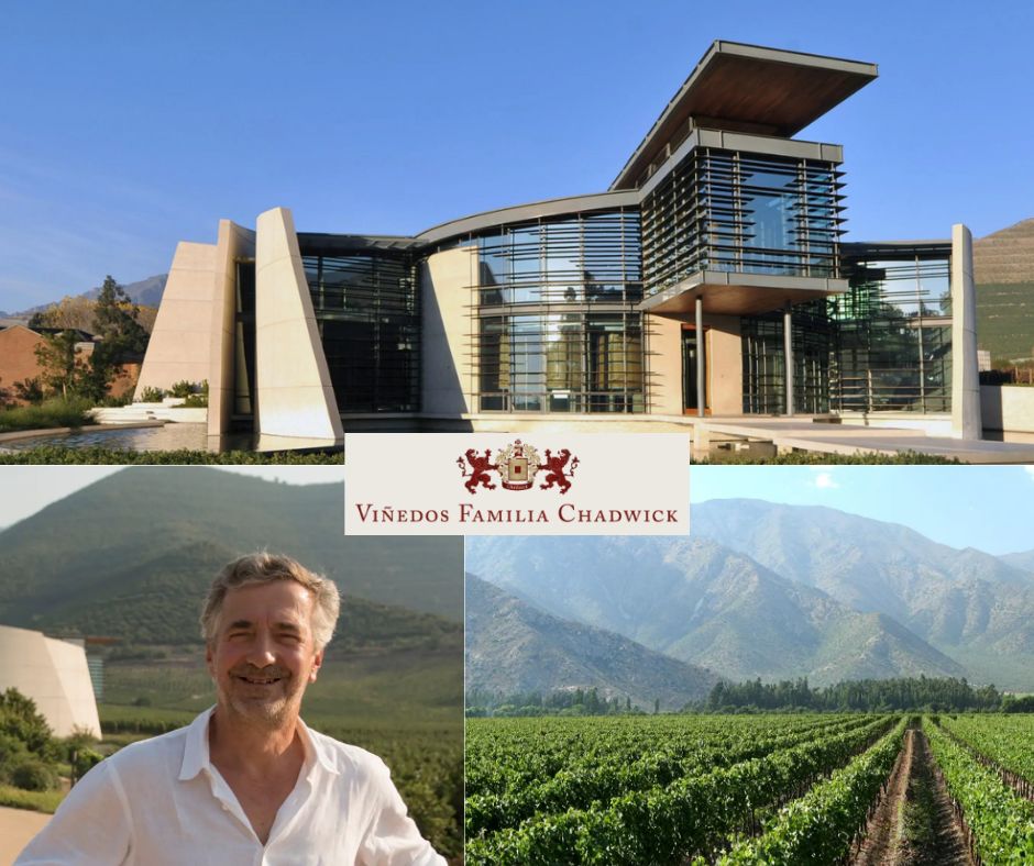 Vinedos Familia Chadwick:L Eduardo Chadwick, chai et vignobles