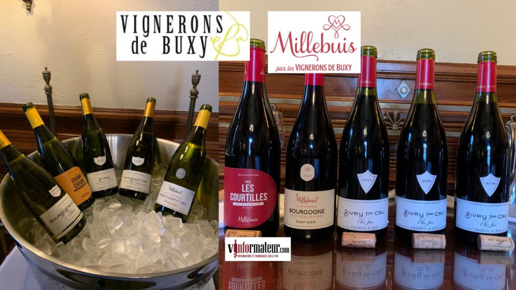 Dégustation des vins de Millebuis/Vignerons de Buxy bouteilles