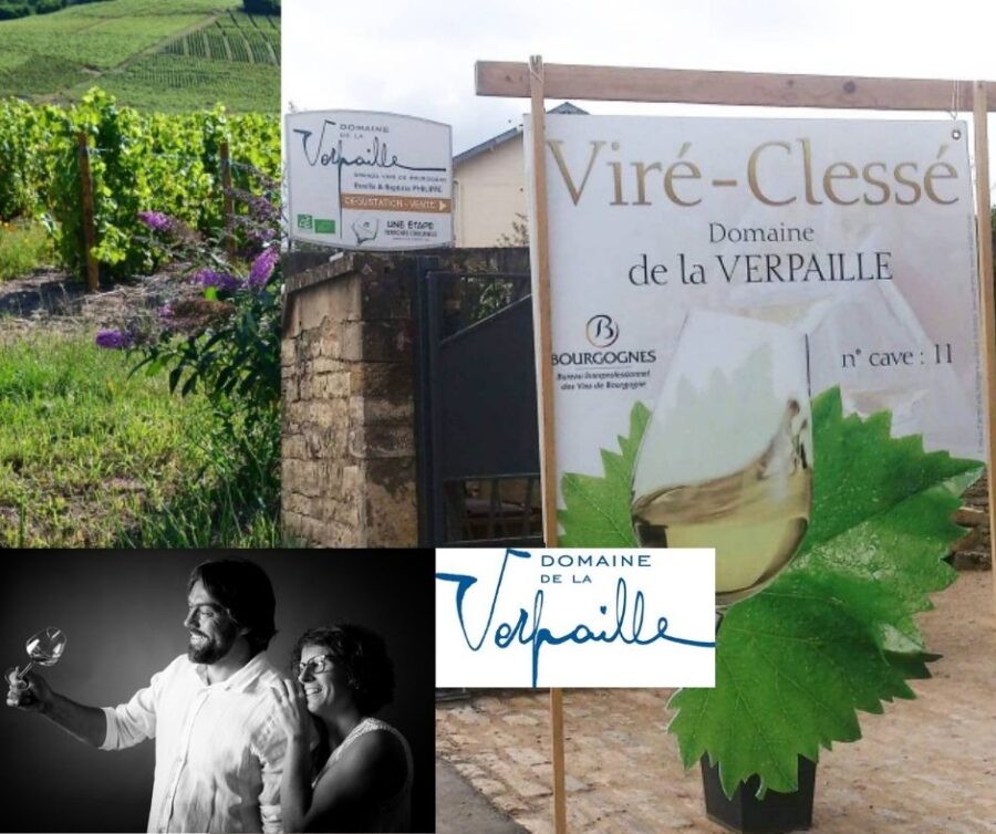 Domaine de la Verpaille: Estelle et Baptiste Philippe, chai et vignobles