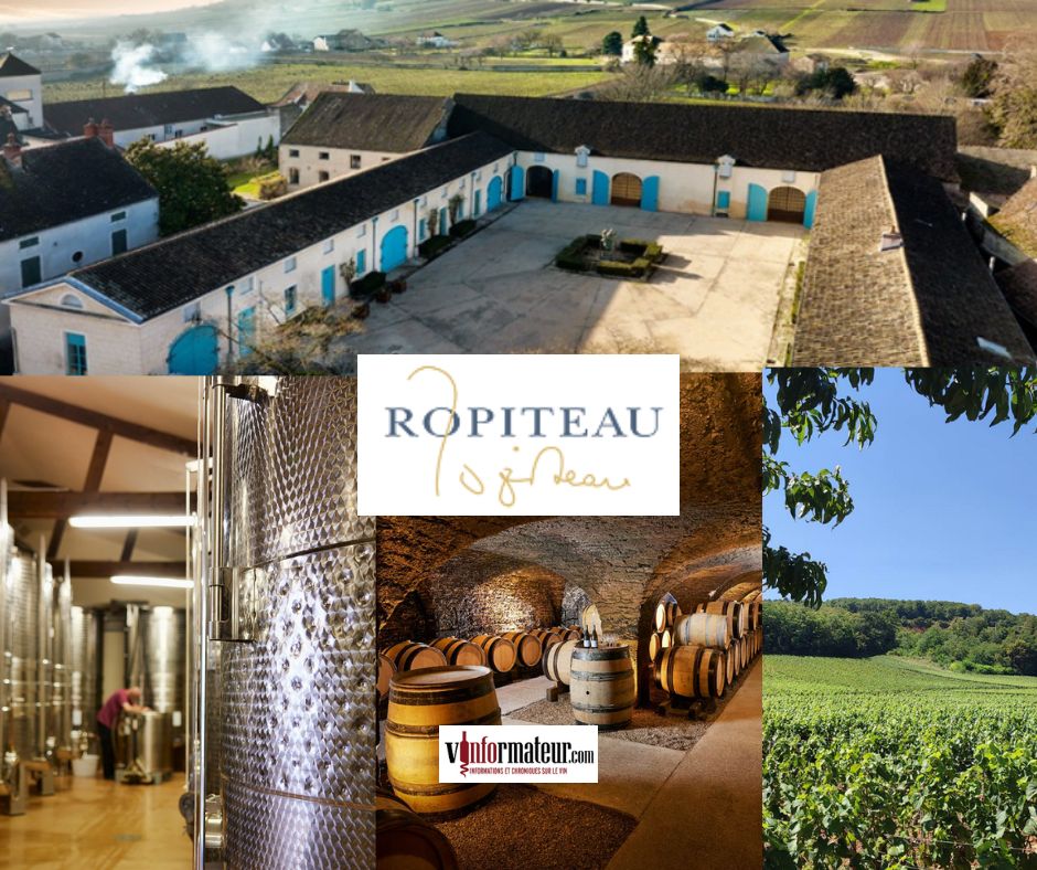 Ropiteau Frères: chai et vignobles