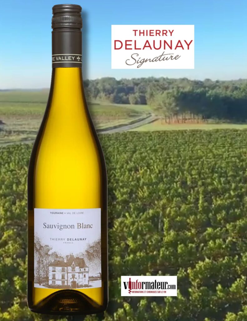 Sauvignon blanc, Thierry Delaunay, France, Val de Loire, Touraine, vin blanc, 2023 bouteille