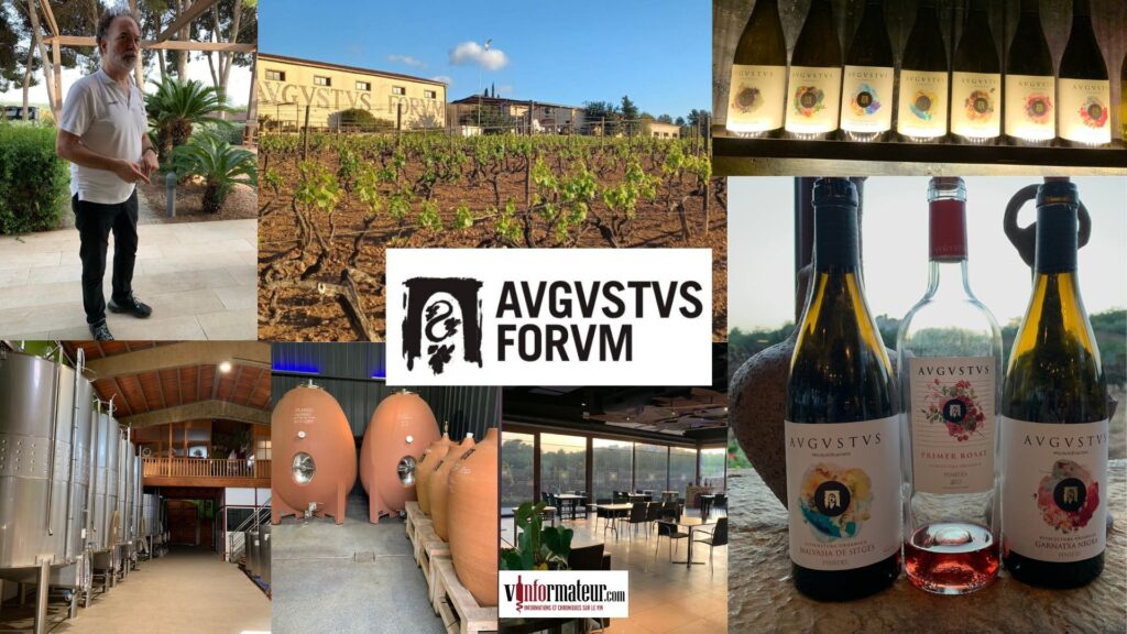 Augustus Forum Cellar