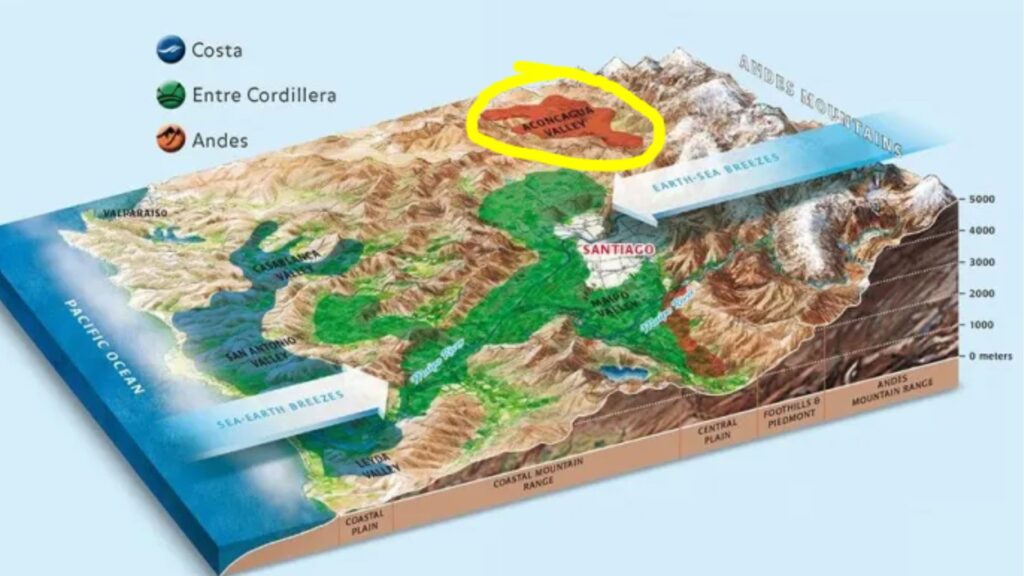 Carte viticole Vallée Aconcagua