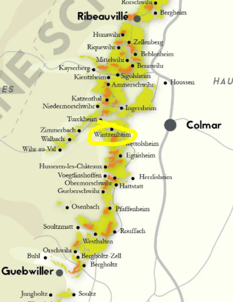 Carte viticole Alsace Colmar