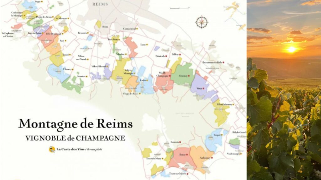 Carte viticole Champagne Montagne de Reims