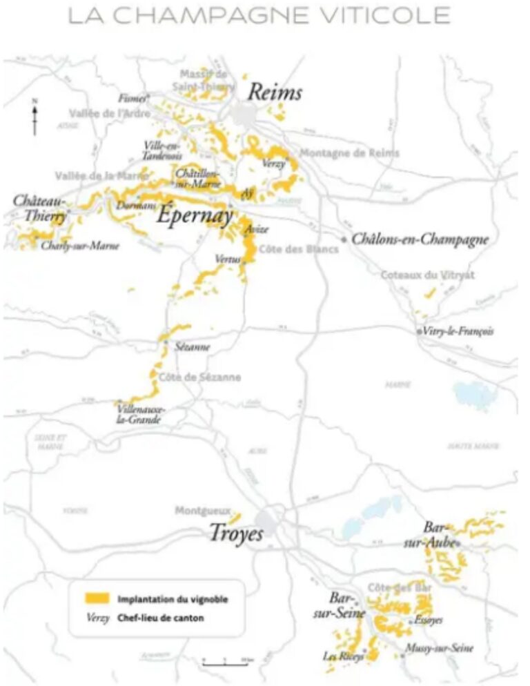 Carte viticole Champagne