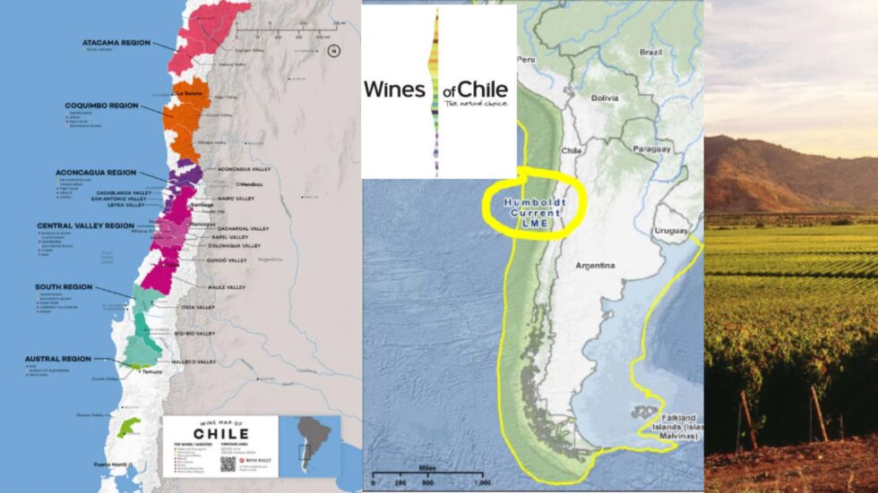 Carte viticole du Chili