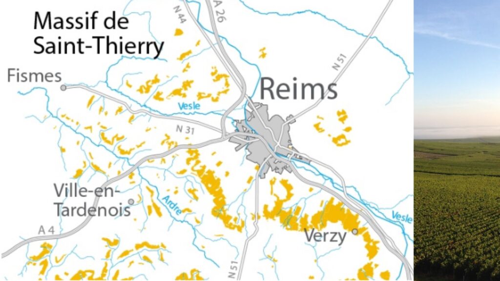 Carte viticole Champagne Montagne de Reims