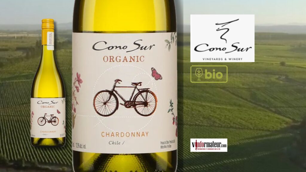 Cono Sur, Organic, Chardonnay, vin blanc bio, Chili, Valle de Rappel, 2023 bouteille